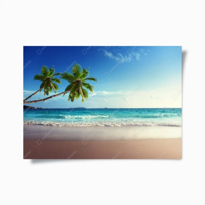 Plakat tropikalna plaża na Karaibach o zachodzie słońca