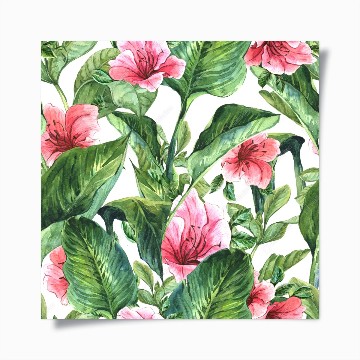 Plakat różowy akwarelowy motyw botaniczny – Wallissimo®
