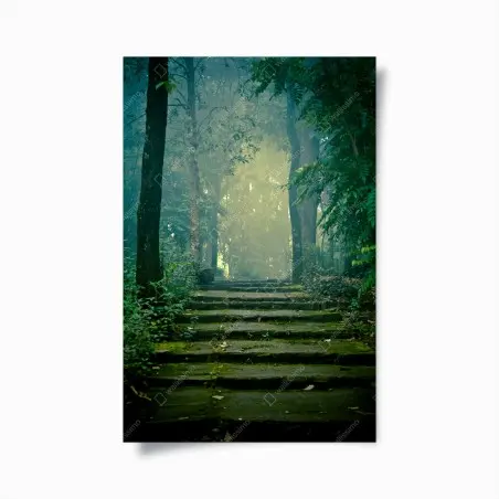 Plakat mchowe kamienne schody do mglistego lasu – Wallissimo®