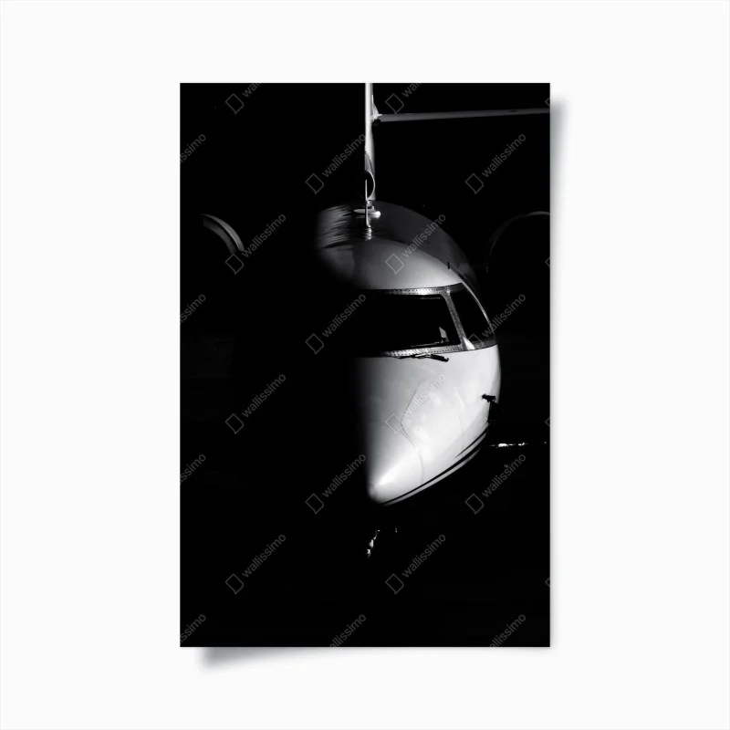 Plakat monochromatyczny portret nosa odrzutowca