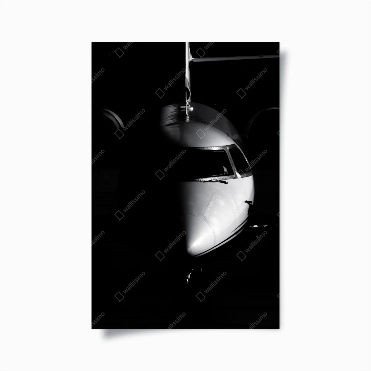 Plakat monochromatyczny portret nosa odrzutowca – Wallissimo® Plakat monochromatyczny portret nosa odrzutowca – Wallissimo®