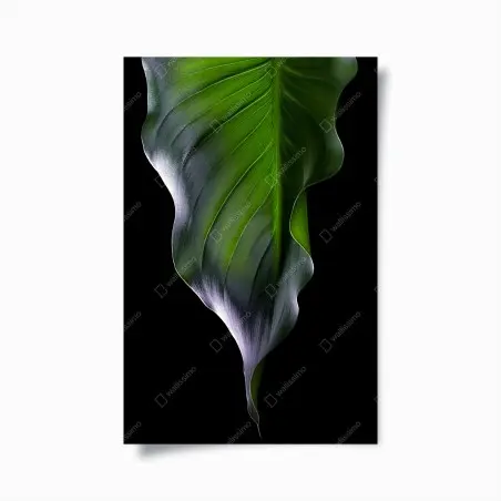 Plakat elegancki zielony liść na czarnym tle – Wallissimo®