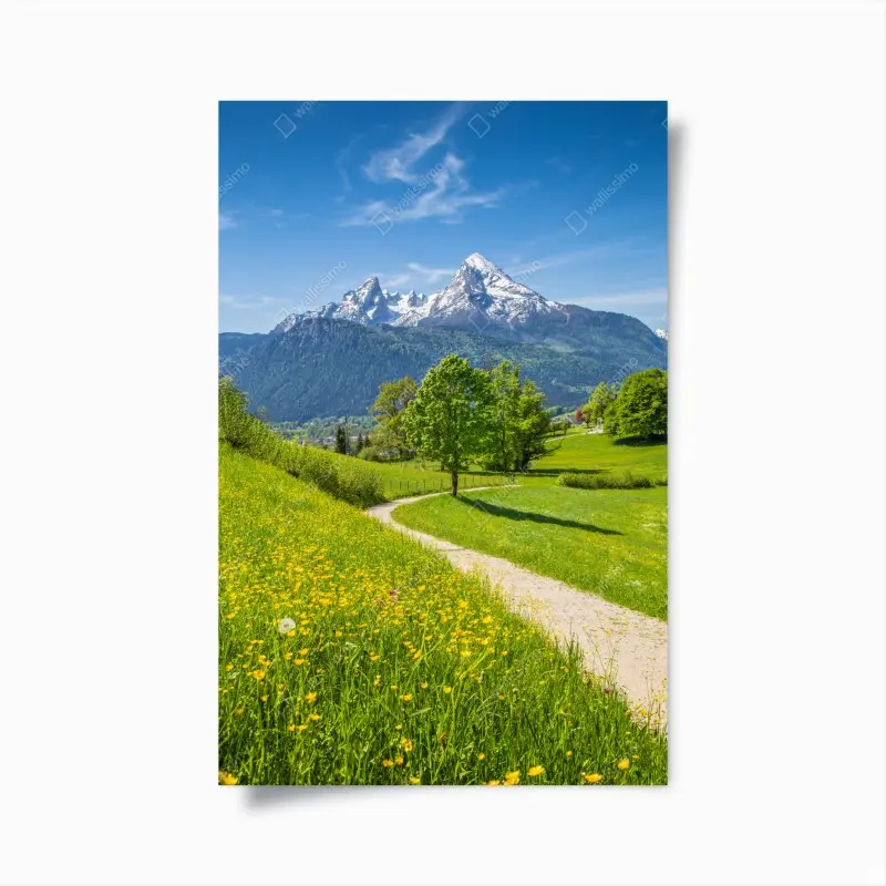 Plakat alpejska łąka i górska ścieżka