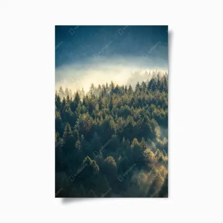 Plakat mglisty las sosnowy o świcie – Wallissimo®