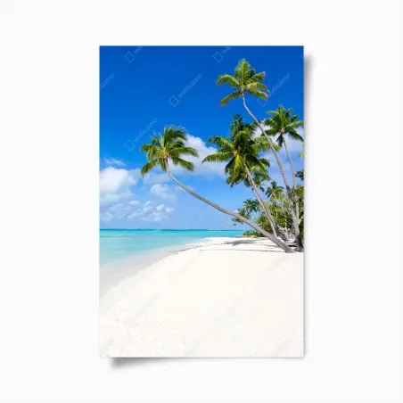 Plakat tropikalna plaża z palmami – Wallissimo®