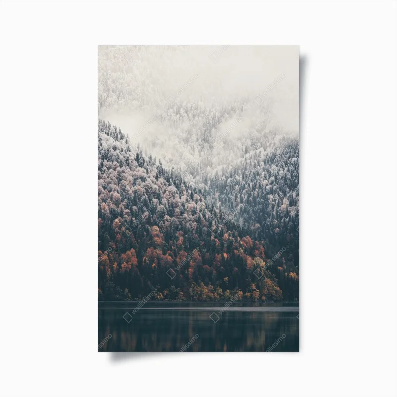 Plakat jesienna mgła nad górskim lasem