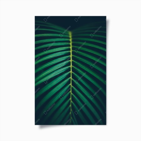 Plakat pionowy liść palmy z bliska – Wallissimo®