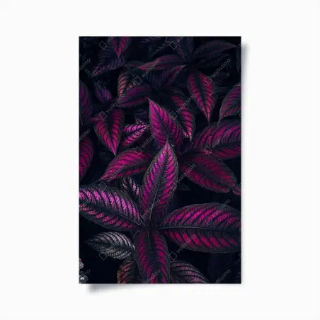 Plakat intensywny fioletowy wzór liści – Wallissimo®
