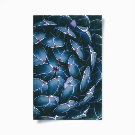 Plakat geometryczne zbliżenie sukulenta w turkusie – Wallissimo®