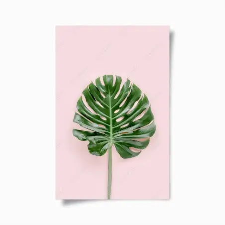 Plakat liść monstera na pastelowym różowym tle – Wallissimo®