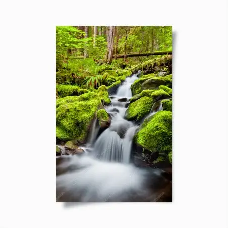 Plakat mechowy strumień przy Sol Duc Falls – Wallissimo®