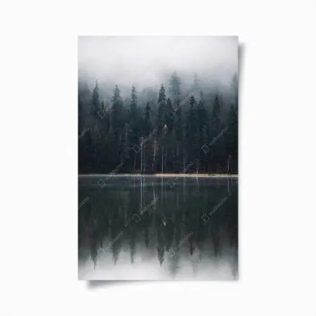 Plakat mglista refleksja w lesie – Wallissimo®