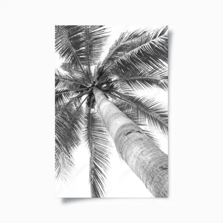 Plakat monochromatyczna palma z perspektywy – Wallissimo®