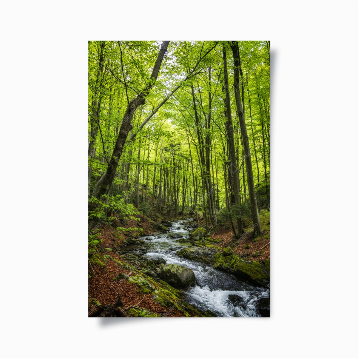 Plakat spokojny leśny strumień – Wallissimo®