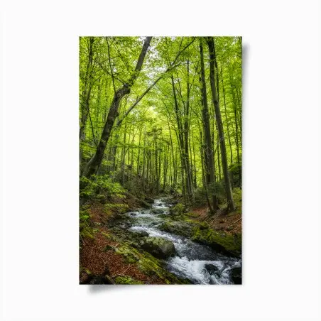 Plakat spokojny leśny strumień – Wallissimo®