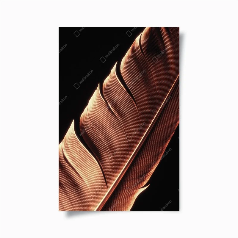 Plakat złote pióro makro na czarnym tle