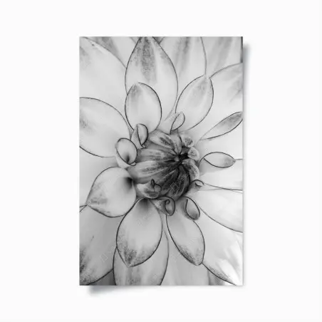 Plakat monochromatyczne zbliżenie dalii – Wallissimo®