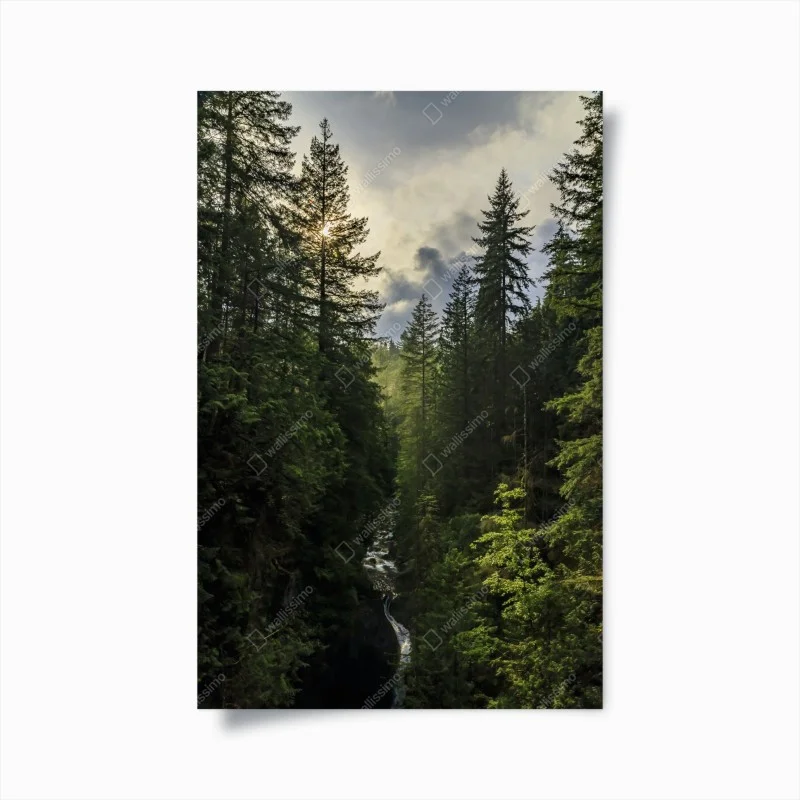 Plakat mglisty iglasty las z wodospadem