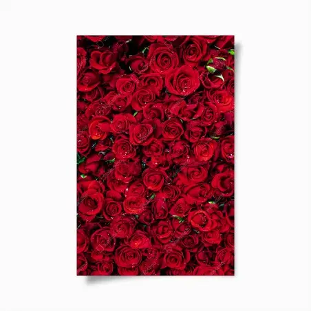 Plakat gęsta ściana czerwonych róż – Wallissimo®