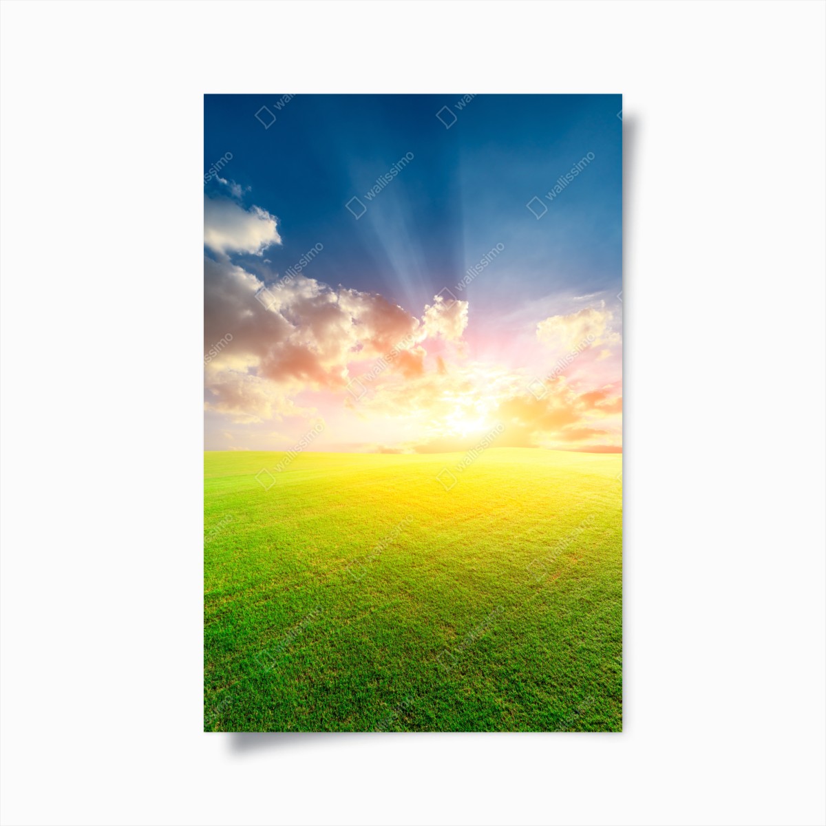 Plakat słoneczna łąka o zmierzchu – Wallissimo®