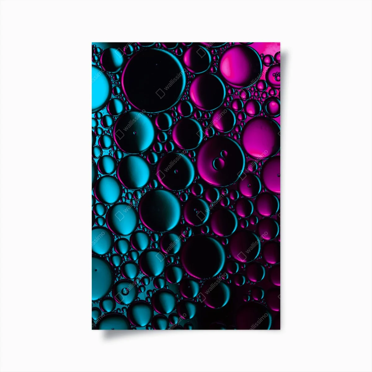 Plakat turkusowo-magenta wzór bąbelków – Wallissimo® Plakat turkusowo-magenta wzór bąbelków – Wallissimo®