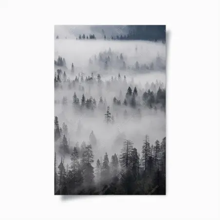 Plakat mglisty las sosnowy – Wallissimo®
