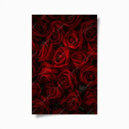 Plakat intensywne czerwone róże z bliska – Wallissimo®