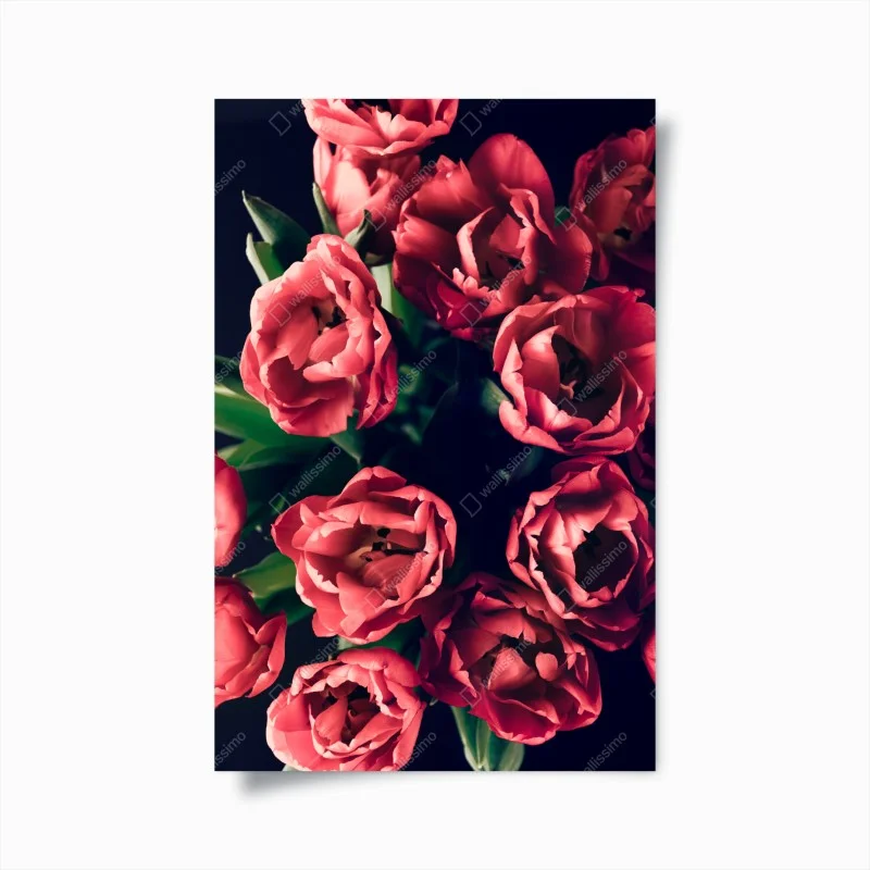 Plakat nastrojowy różowy bukiet tulipanów