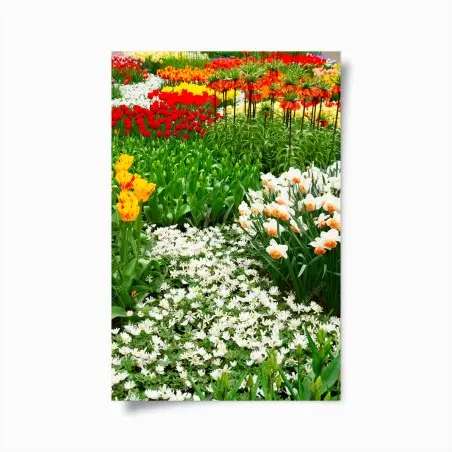Plakat żywy wiosenny ogród kwiatowy – Wallissimo®