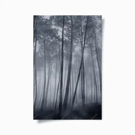 Plakat mglisty sosnowy las nocą – Wallissimo®