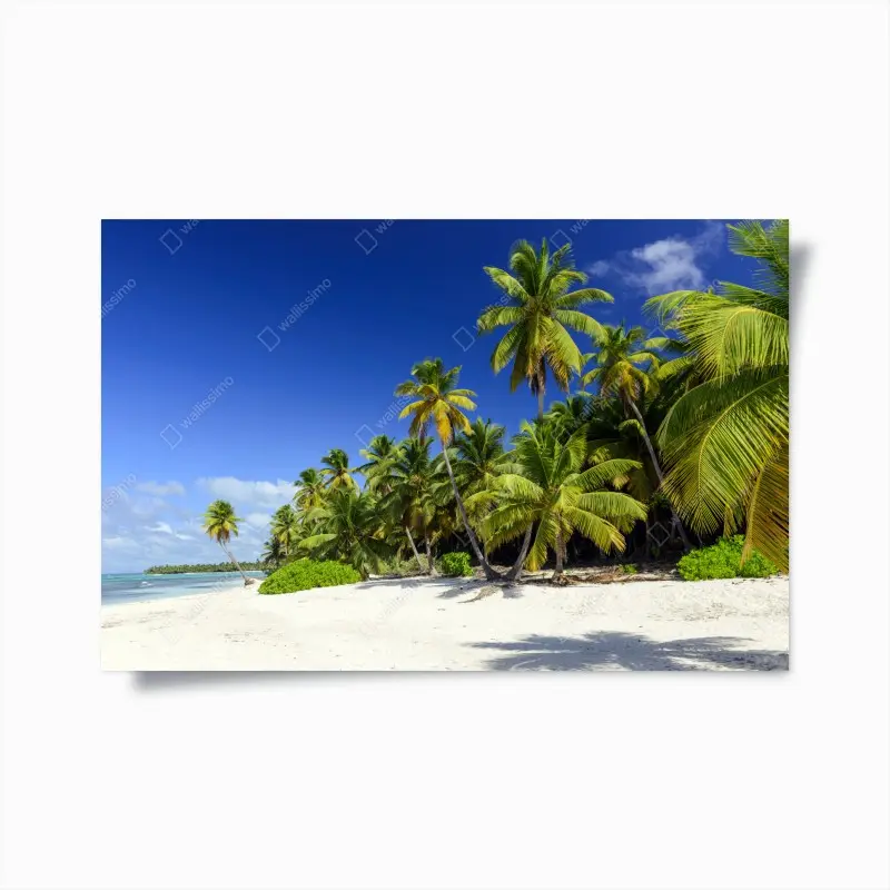 Plakat spokojna Punta Cana tropikalna plaża