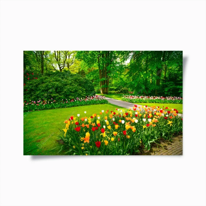 Plakat żywy ogród tulipanów w Keukenhof