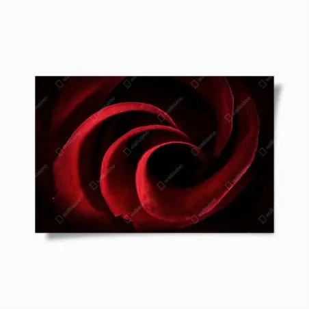 Plakat spirala głębokich czerwonych płatków róży – Wallissimo®