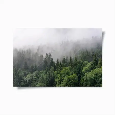 Plakat mglisty las iglasty panorama – Wallissimo®
