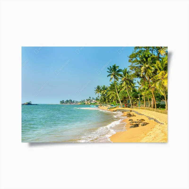 Plakat tropikalna plaża z palmami