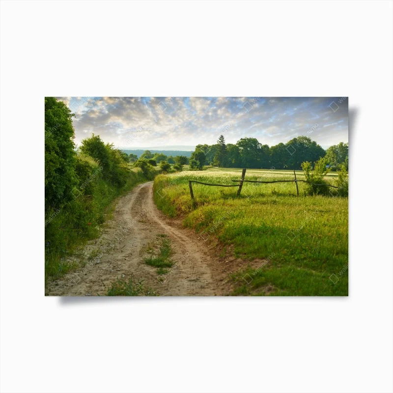 Plakat słoneczna wiejska ścieżka przez zielone łąki