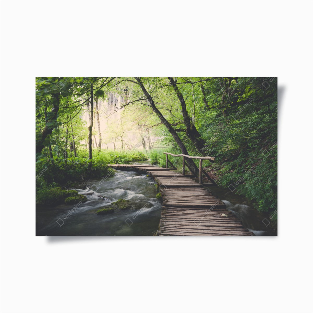 Plakat spokojna drewniana kładka w zielonym lesie – Wallissimo®
