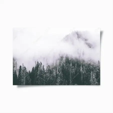 Plakat mglisty las iglasty – Wallissimo®