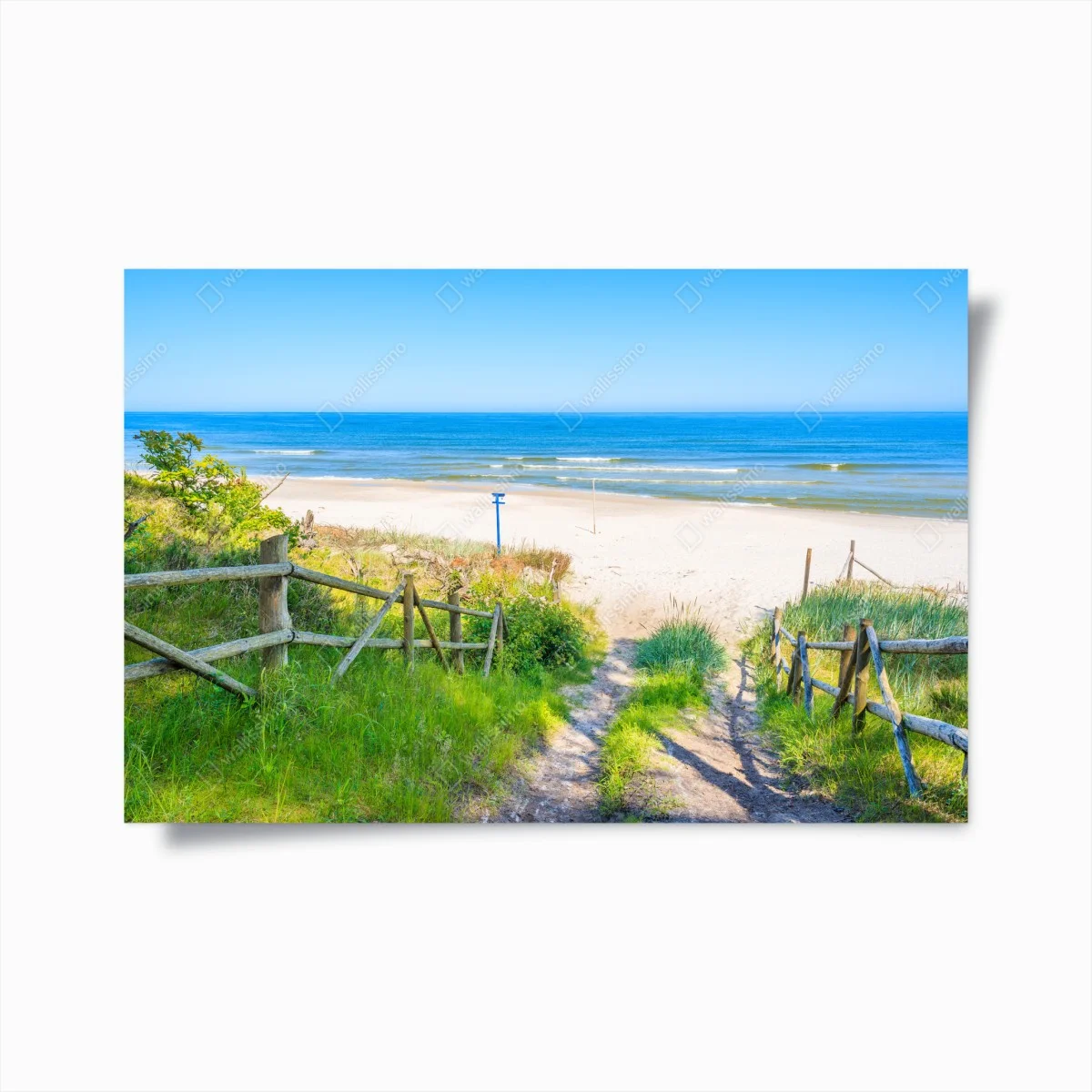 Plakat ścieżka na plażę nad Morzem Bałtyckim – Wallissimo® Plakat ścieżka na plażę nad Morzem Bałtyckim – Wallissimo®