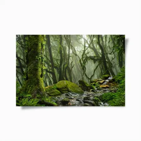 Plakat las ze strumieniem we mgle – Wallissimo®