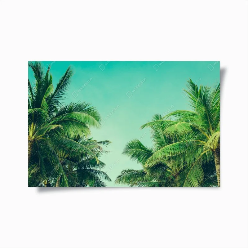 Plakat tropikalny baldachim palm pod turkusowym niebem