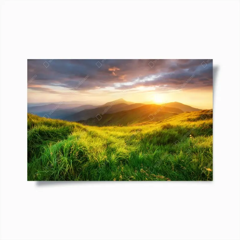 Plakat słoneczna górska łąka o wschodzie słońca – Wallissimo®