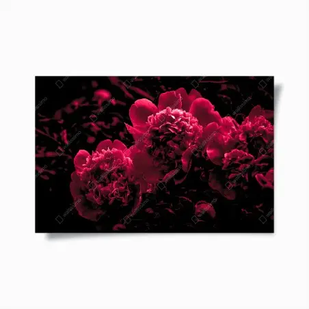 Plakat nastrojowe różowe piwonie – Wallissimo®