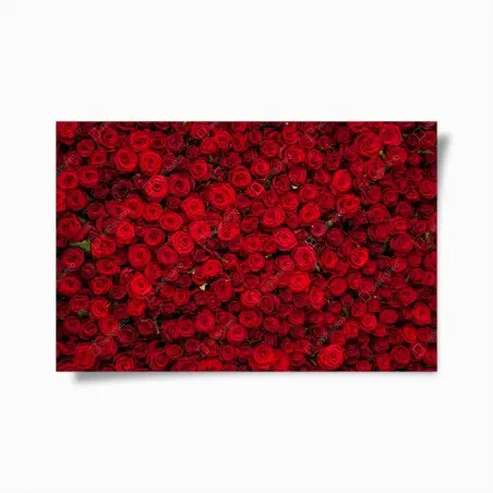 Plakat nieskończona ściana czerwonych róż – Wallissimo®