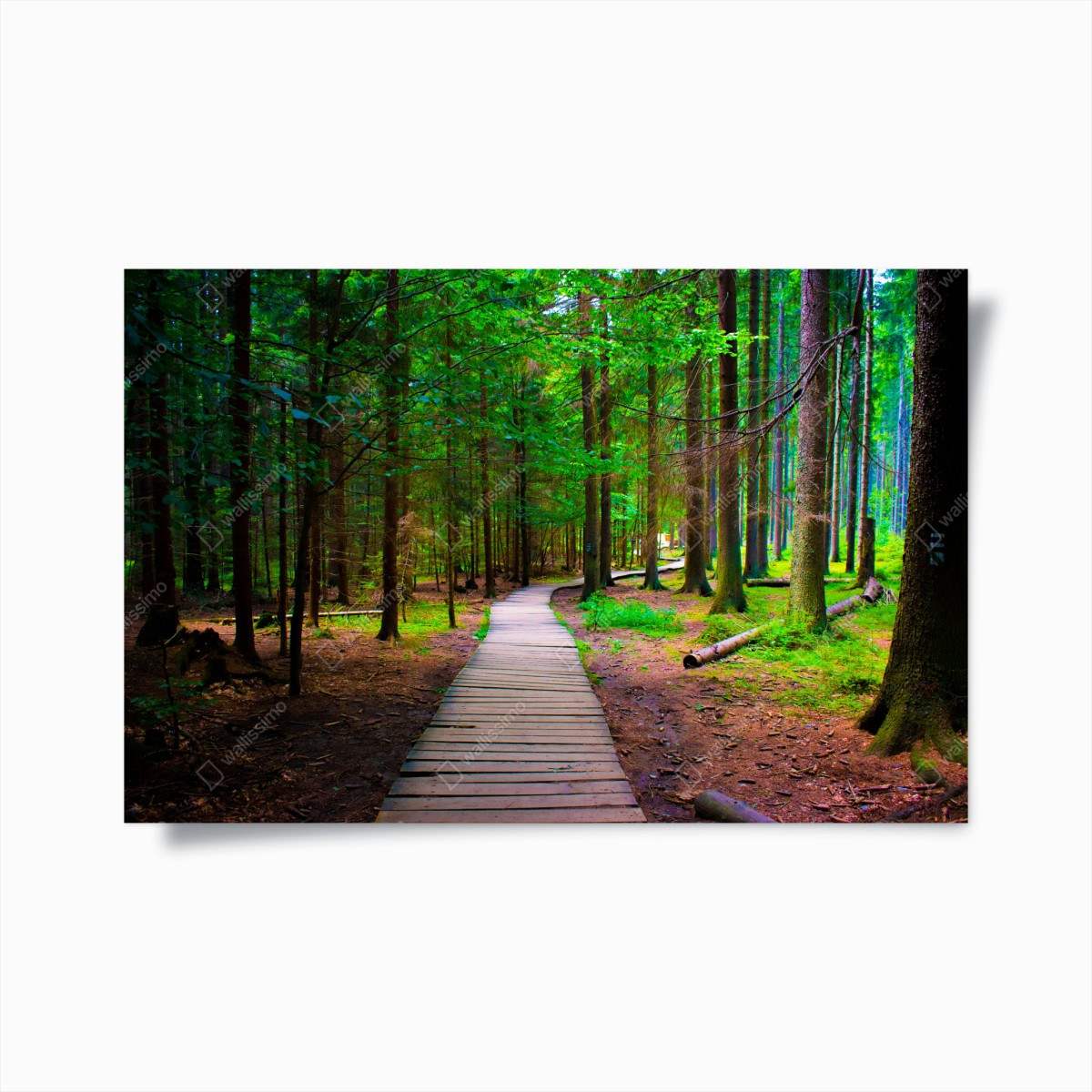 Plakat spokojna leśna kładka – Wallissimo®