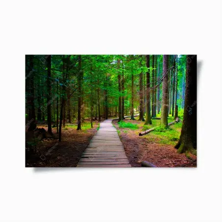 Plakat spokojna leśna kładka – Wallissimo®