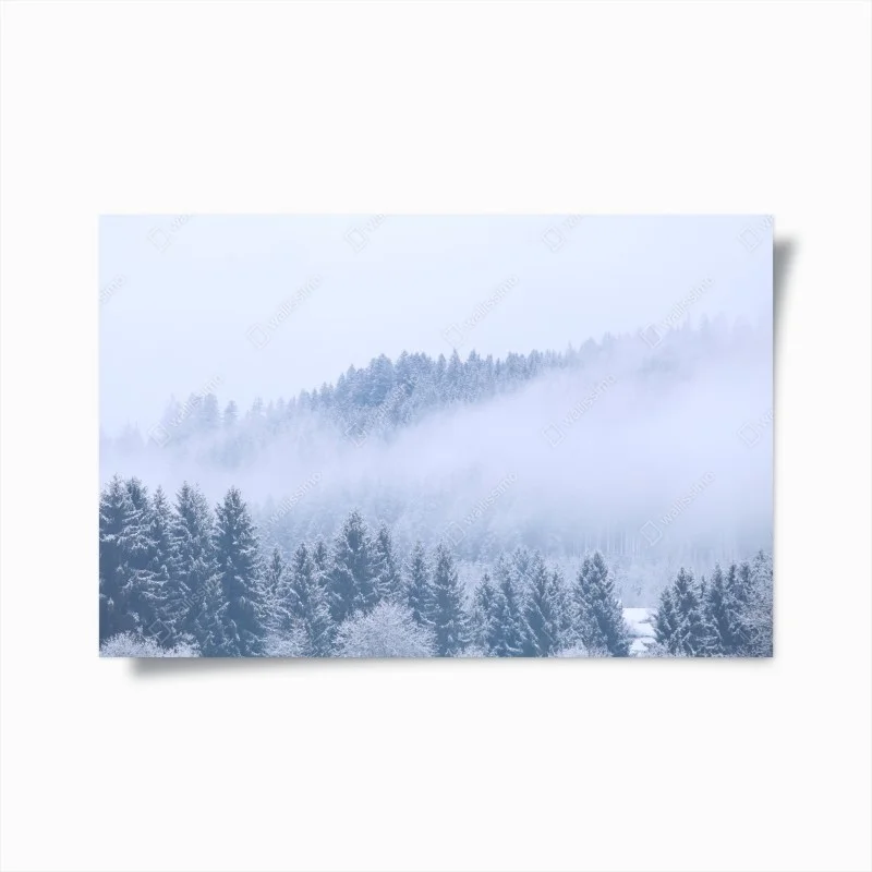 Plakat zimowa mgła nad lasem iglastym – Wallissimo®