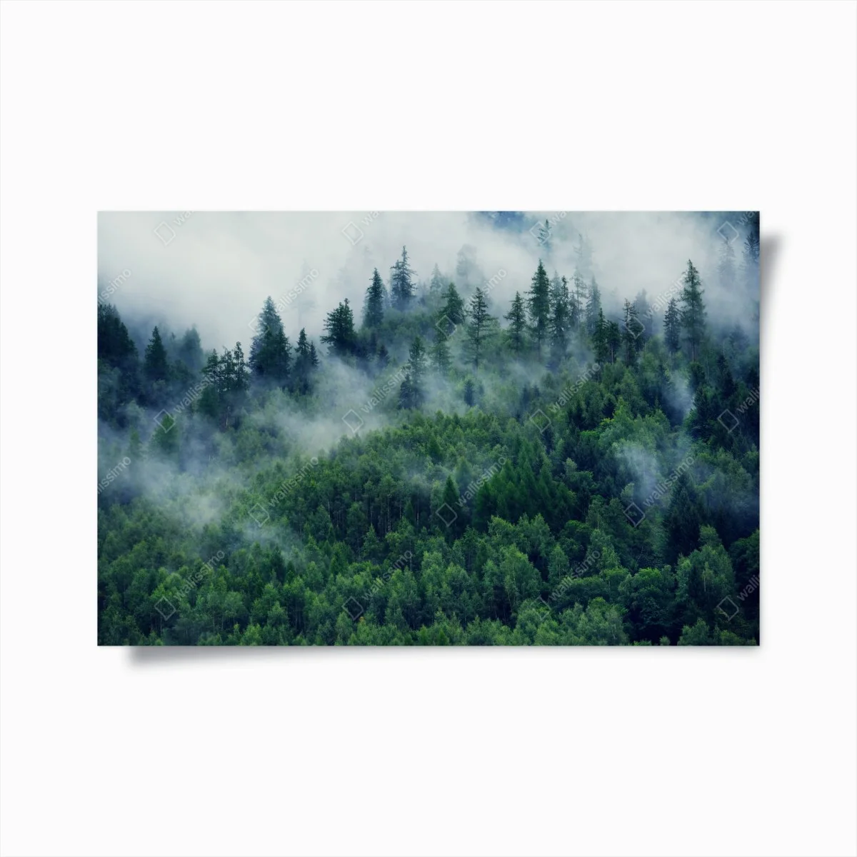 Plakat mglisty zielony las – Wallissimo® Plakat mglisty zielony las – Wallissimo®