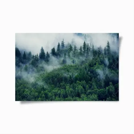 Plakat mglisty zielony las – Wallissimo®