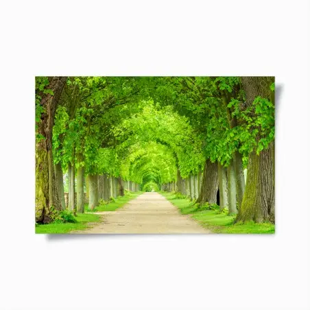 Plakat zielony tunel drzew – Wallissimo®